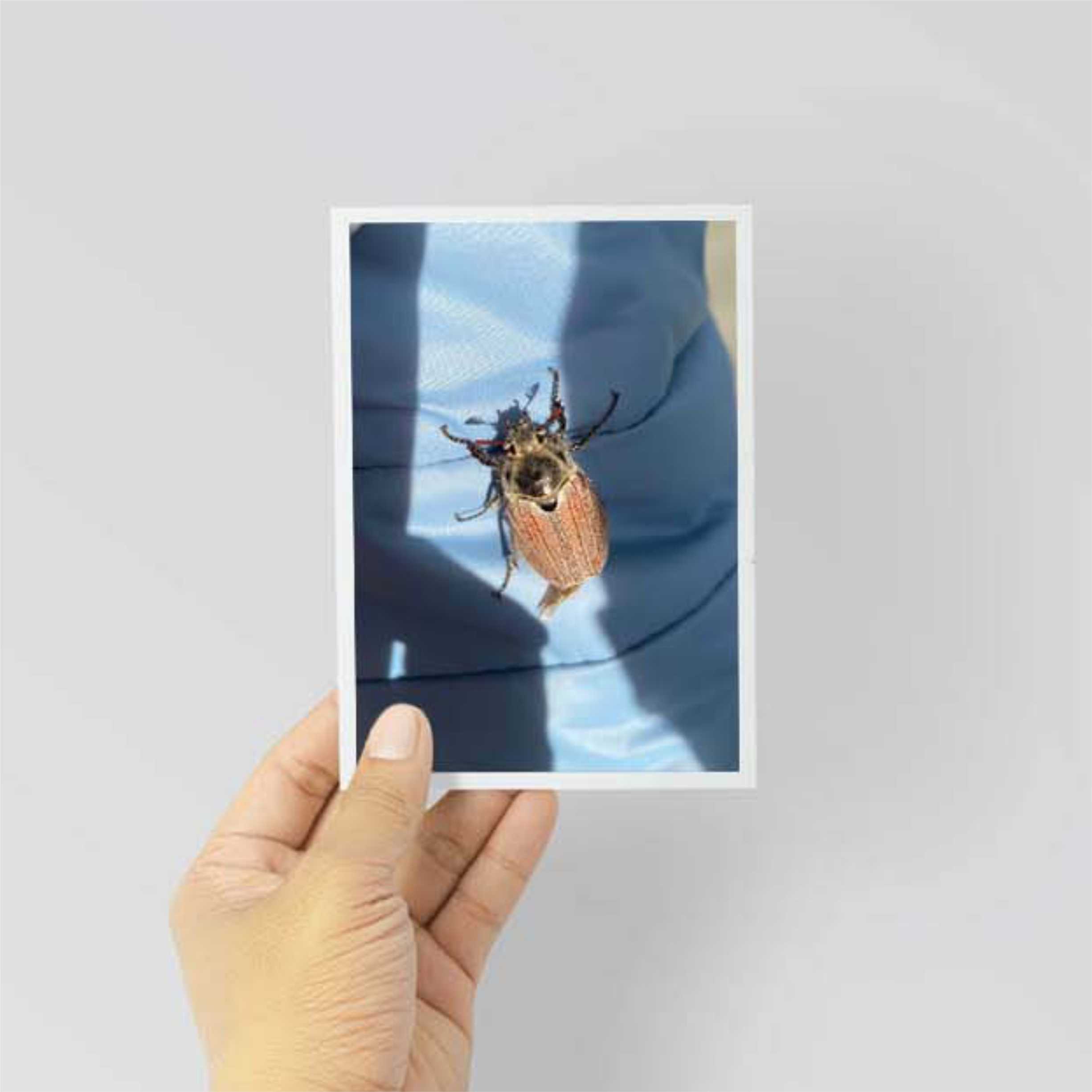 goods image